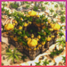 Factions Spawn + Warzone - Royal icon