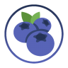 BerrySkyWars icon