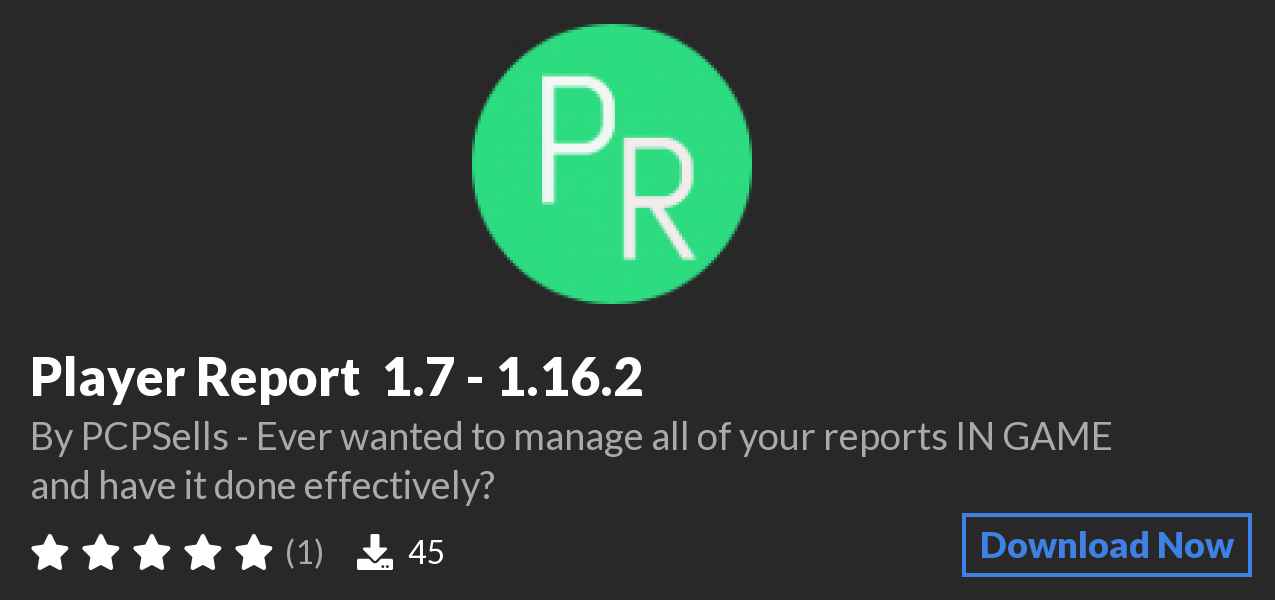 Download Player Report » 1.7 - 1.16.2 on Polymart
