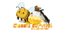 🍯Classic survival🍯 icon