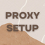 Proxy Setup icon