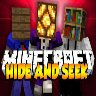 HideAndSeek icon