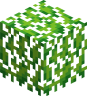 HMCLeaves icon