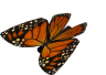 Butterfly Pack #1 icon