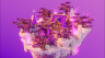 Pinnacle | 100x100 | End Lobby icon