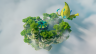 Grass Pixelmon Gym