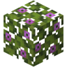 Foliage icon