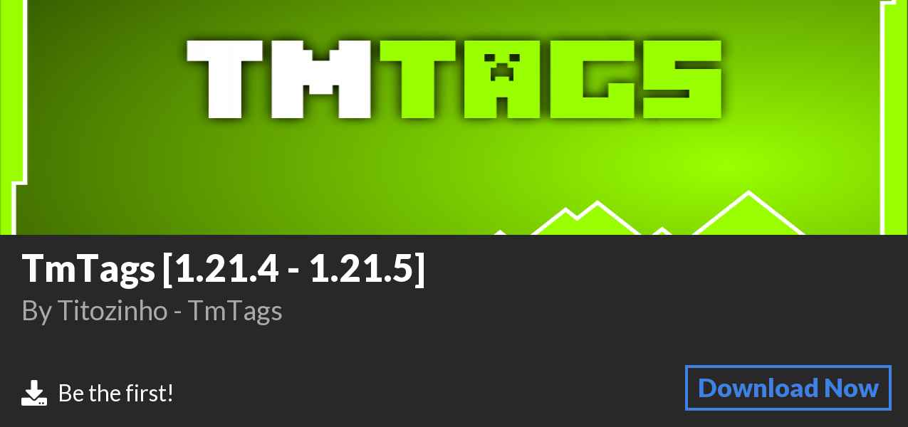 Download TmTags [1.21.4 - 1.21.5] on Polymart