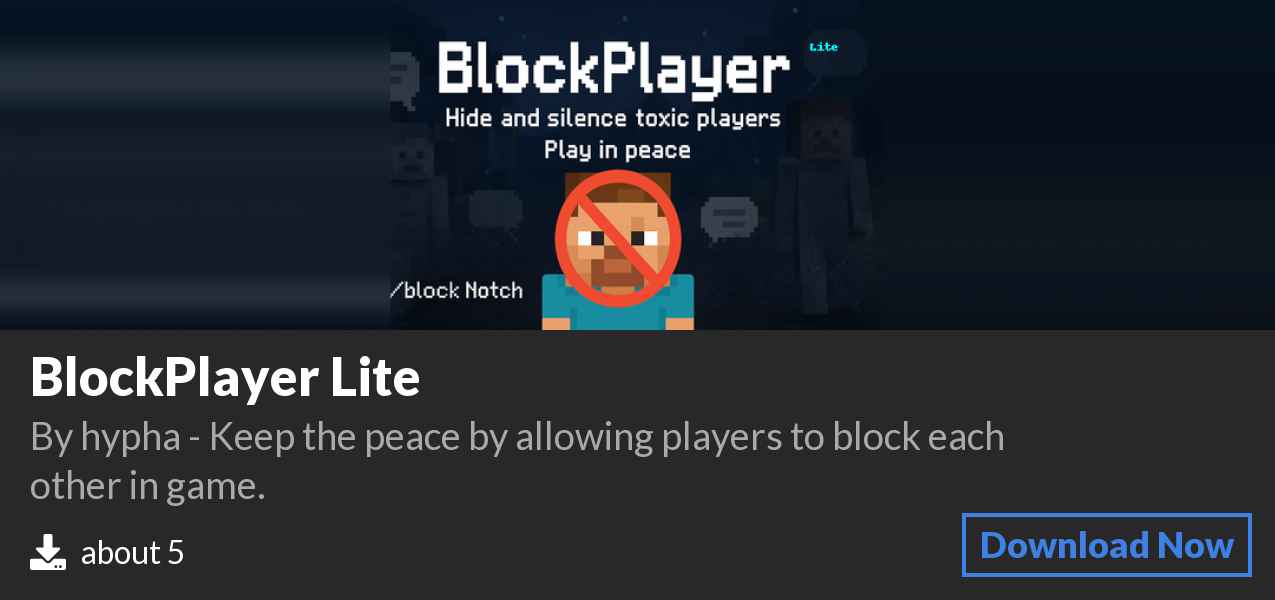 Download BlockPlayer Lite on Polymart